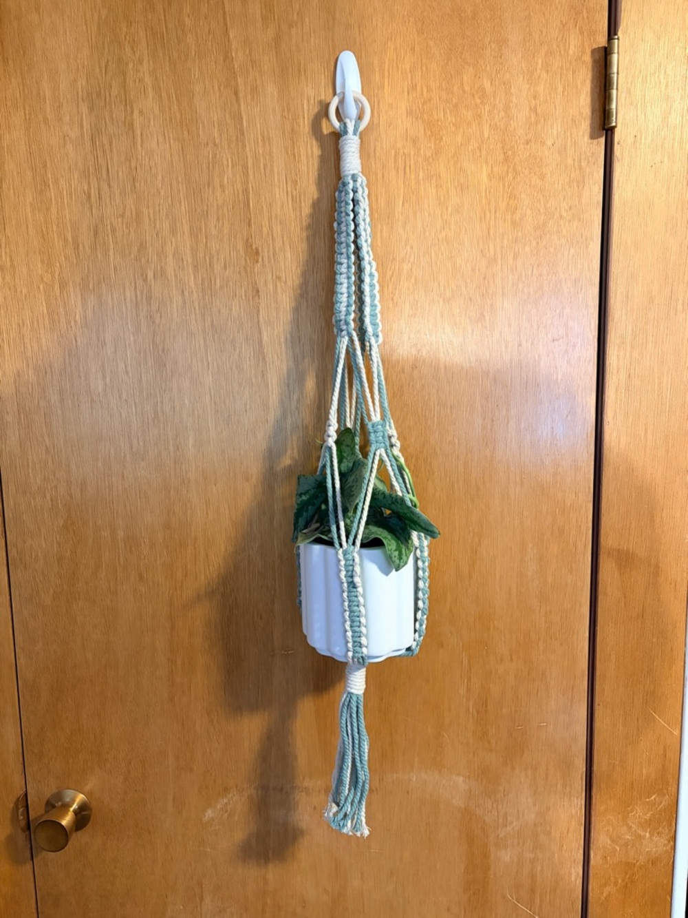 Handmade Macrame Plant Hanger. PLANT AND POT NOT INCLUDED.